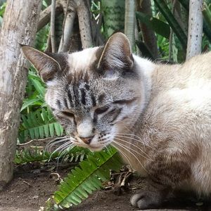 Meet your Posher, Lexie